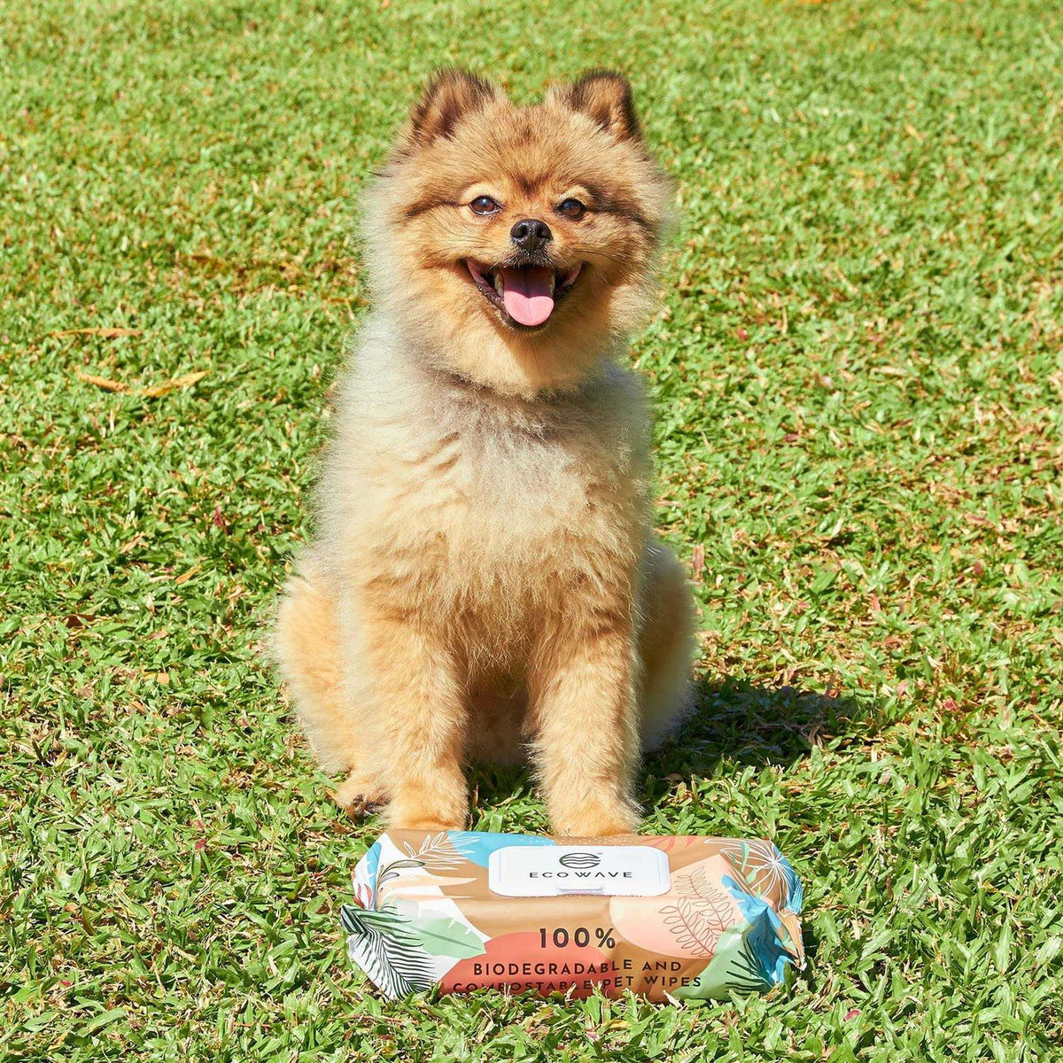 Biodegradable Compostable Dog & Cat Cleansing Wipes X18478