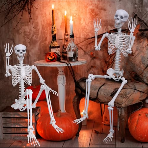 5.9Ft Posable Plastic Skeleton C2358