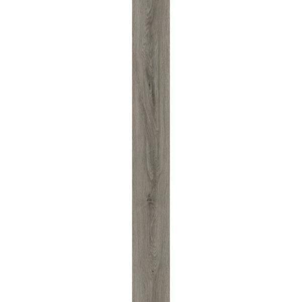 6 in. x 48 in. Silver Oak Glue Down Vinyl Plank Flooring G344288