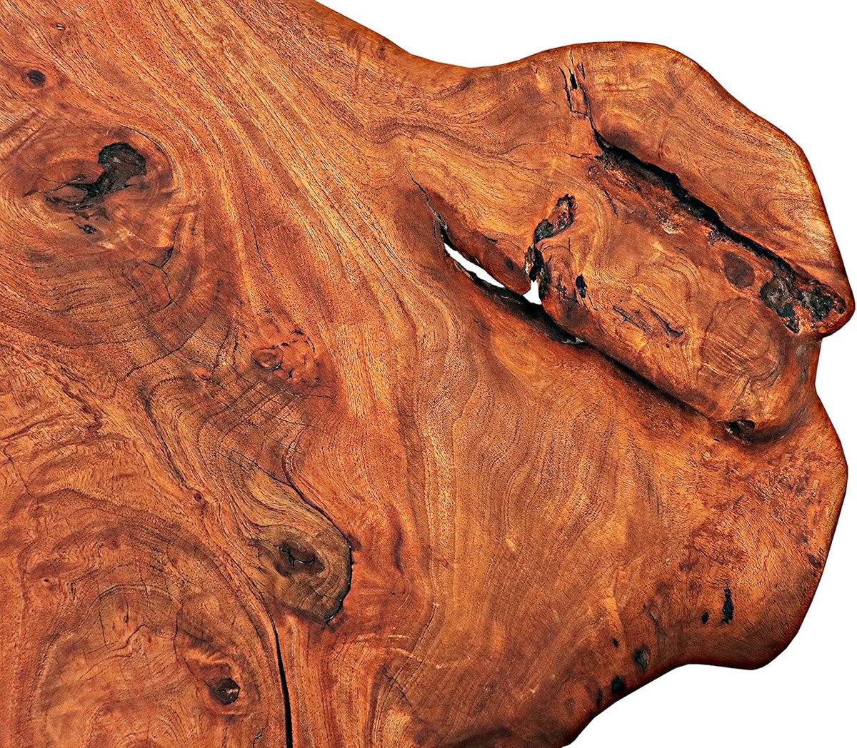 Natural Wood Edge Teak Coffee Table with Clear Lacquer Finish and Metal Hairpin Legs L557186