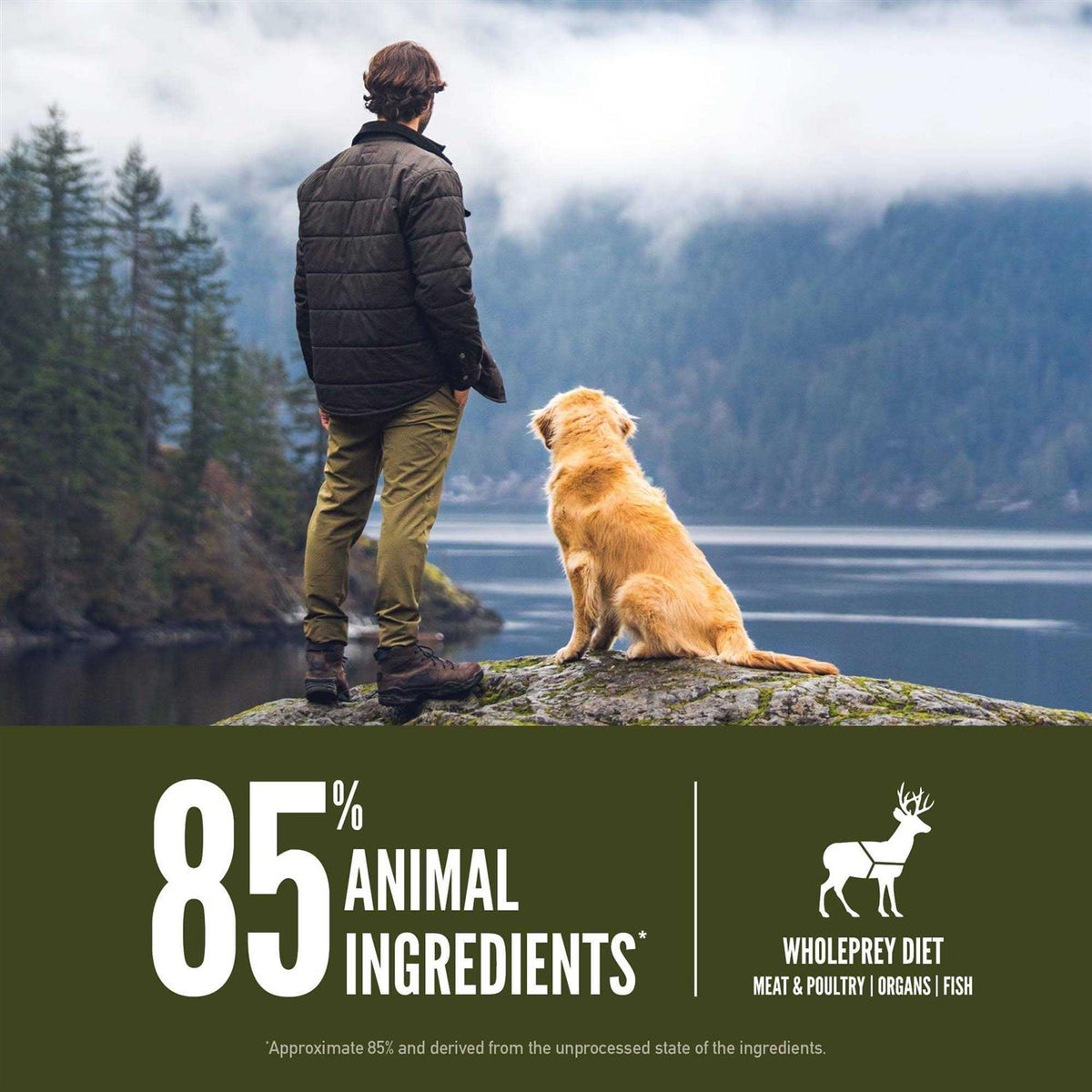 Dry Dog Food Q294