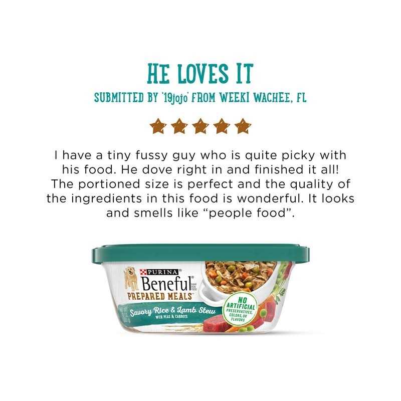 Savory Rice & Lamb Stew Wet Dog Food F999