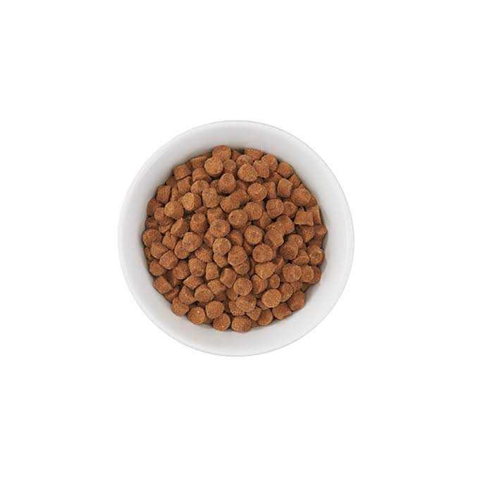 Turkey Light Dry Cat Food X6924