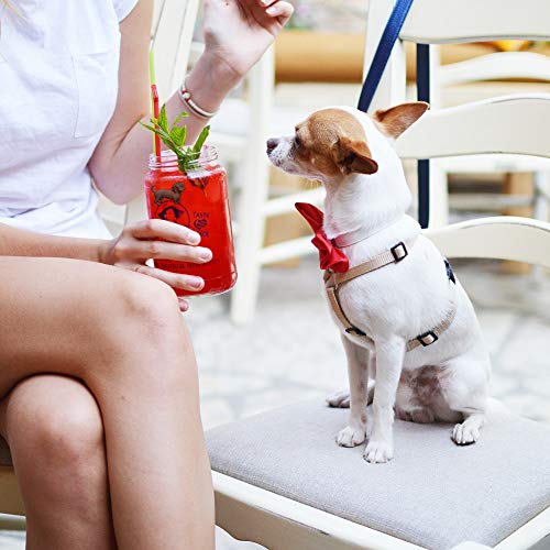 Set of 6 Dog Wine Charms for Stemless Glasses Y395259