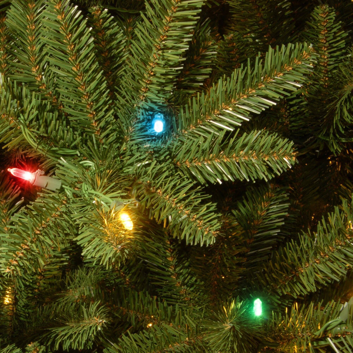 6.5 ft Natural Fraser Medium Fir Tree with Multi-Color Lights A239