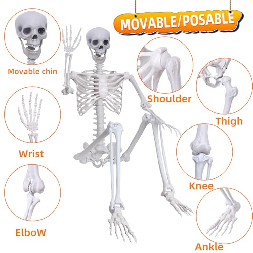 5.9Ft Posable Plastic Skeleton C2358