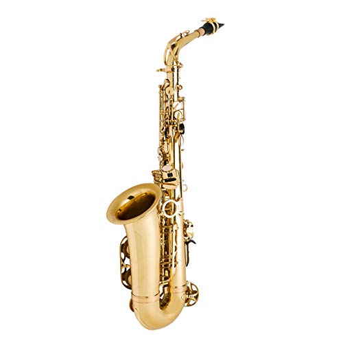 Student Alto Saxophone Bundle J752