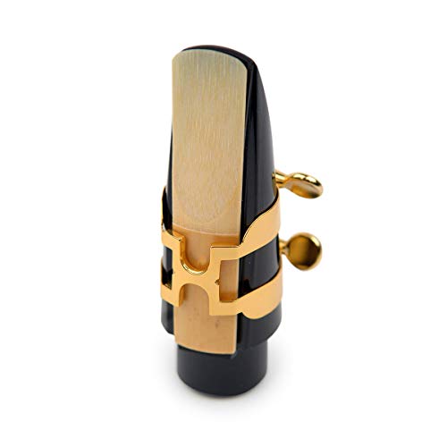 Student Alto Saxophone Bundle J752