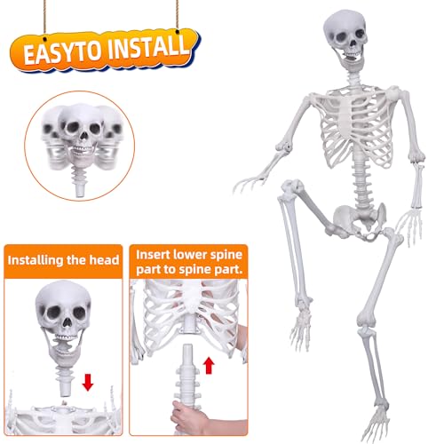 5.9Ft Posable Plastic Skeleton C2358