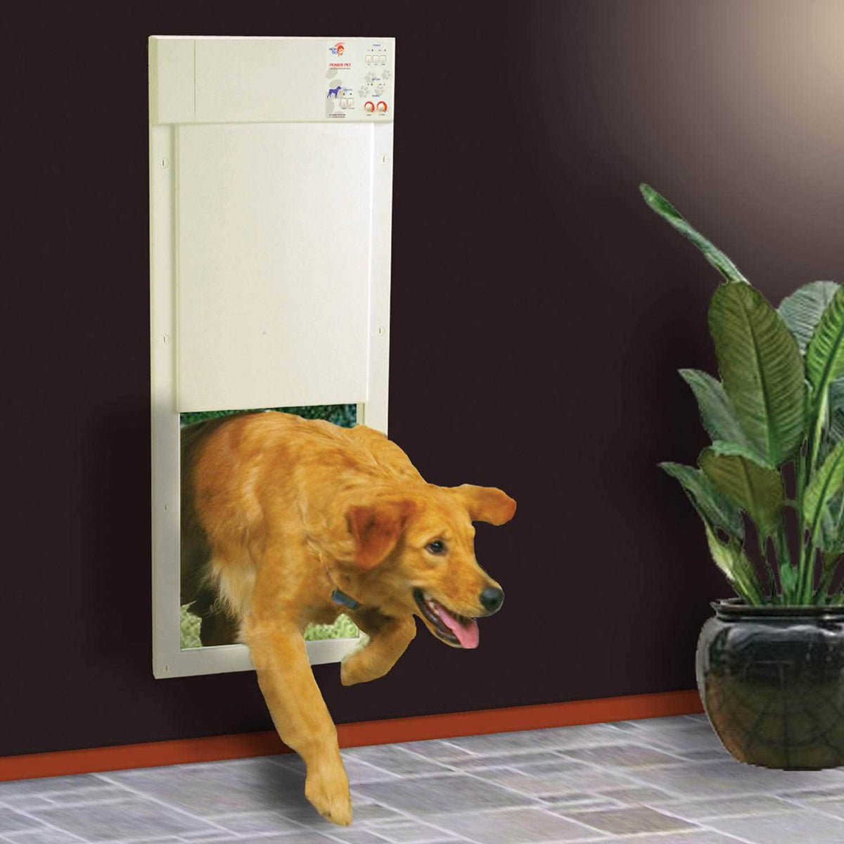Motorized Pet Door A682