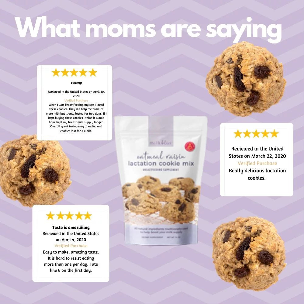 Oatmeal Raisin Soft Baked Lactation Cookie Mix 15oz W587760