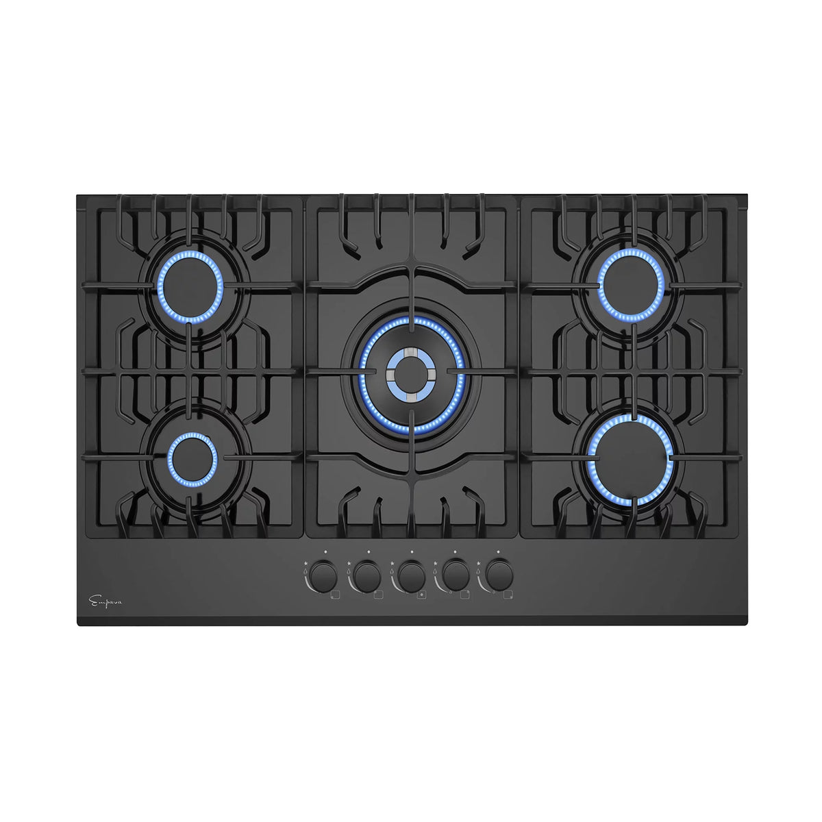 30" Gas Cooktop and 30" Wall Mount Range Hood E883