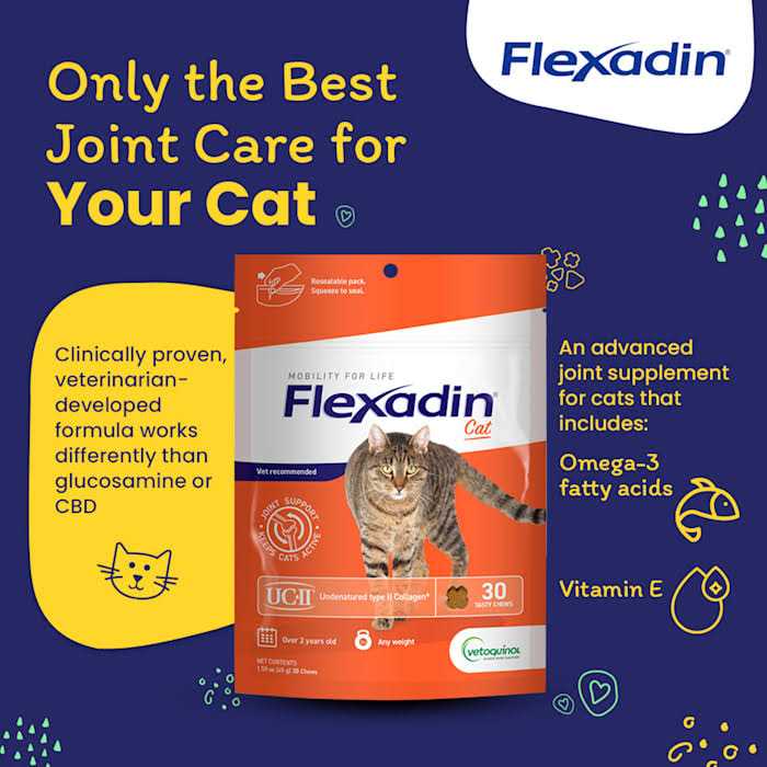 Cat Joint Supplement Chews with UC-II Y826406