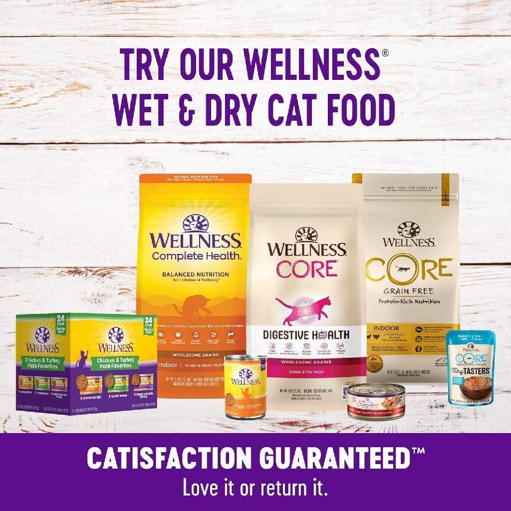 Cat Treats K1317