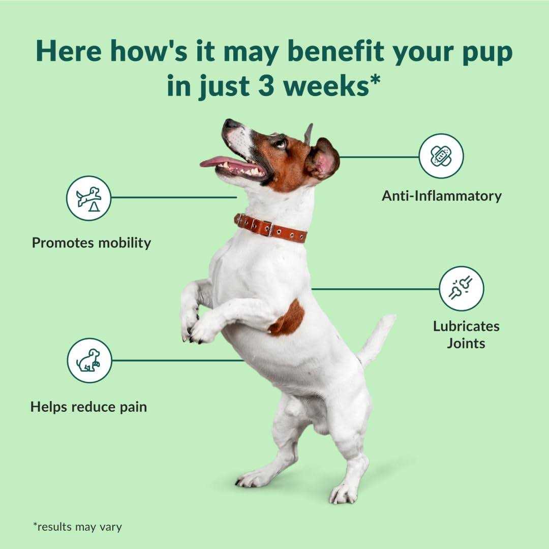 Chewable Dog Hip and Joint Supplement I302
