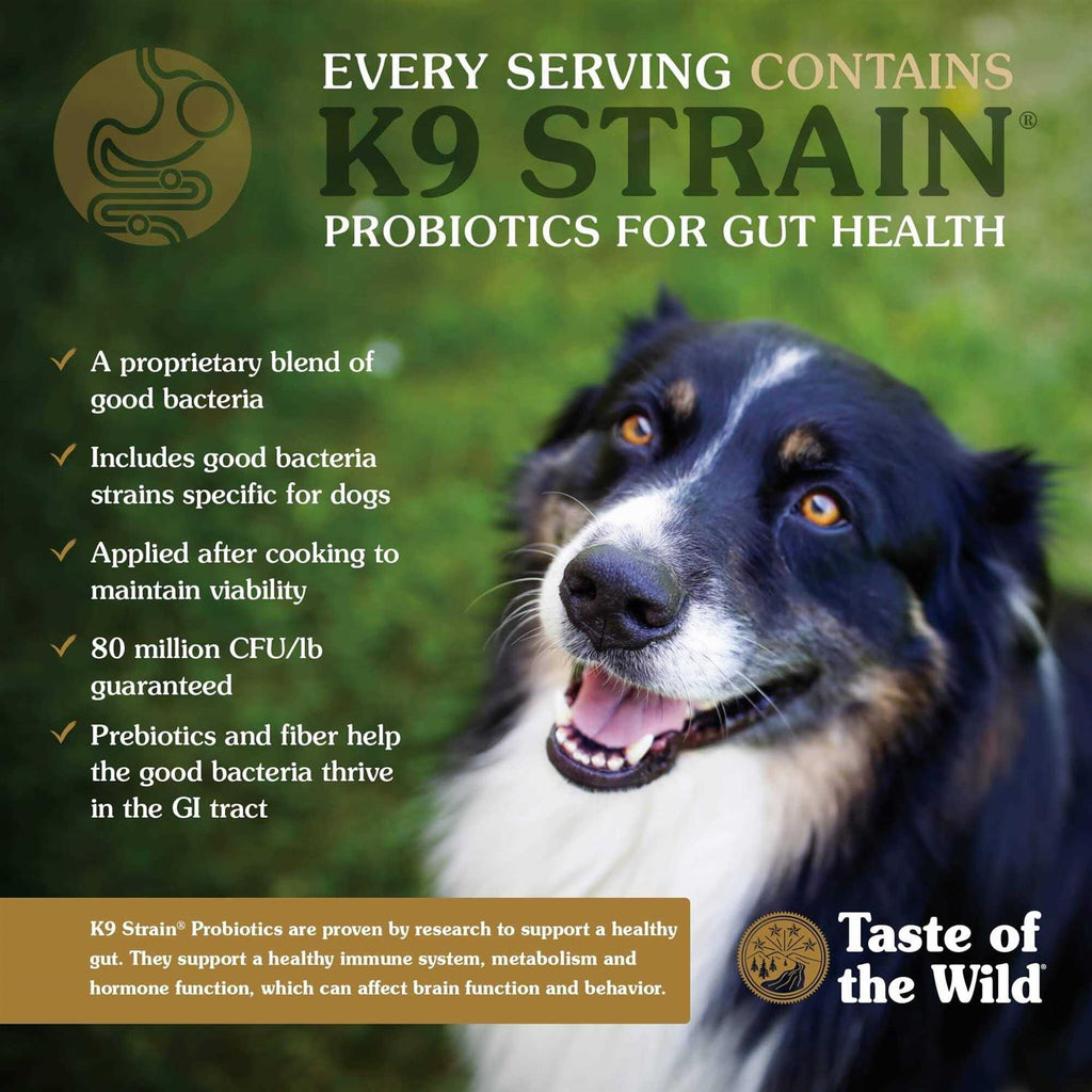 Dog Food V604091