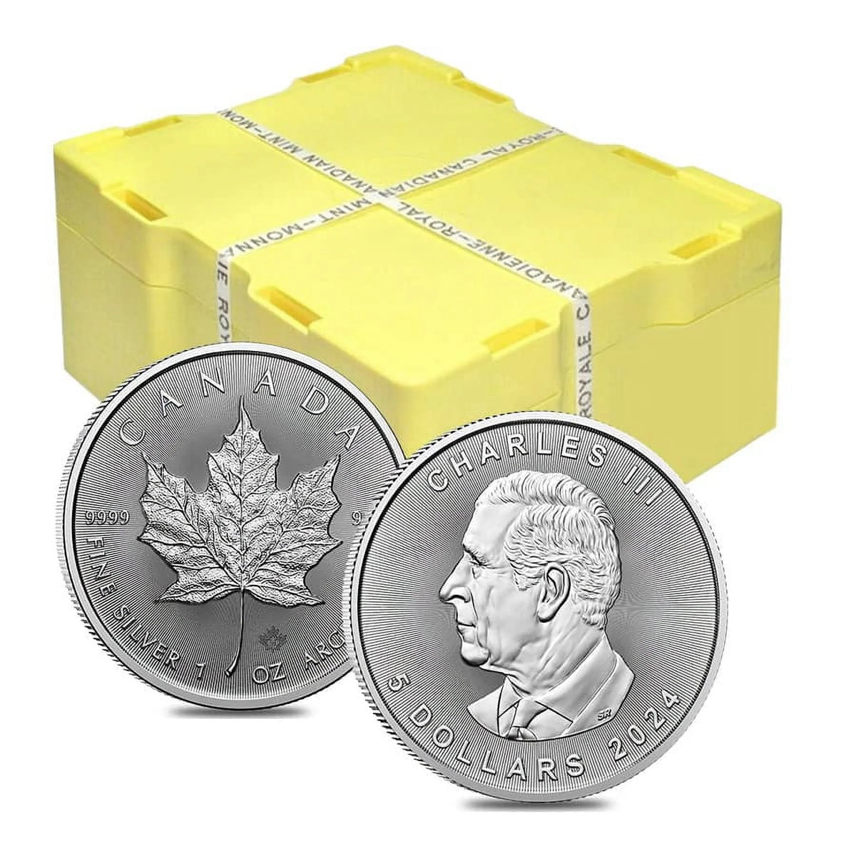 1 oz Canadian Silver Maple Leaf Coin T15489