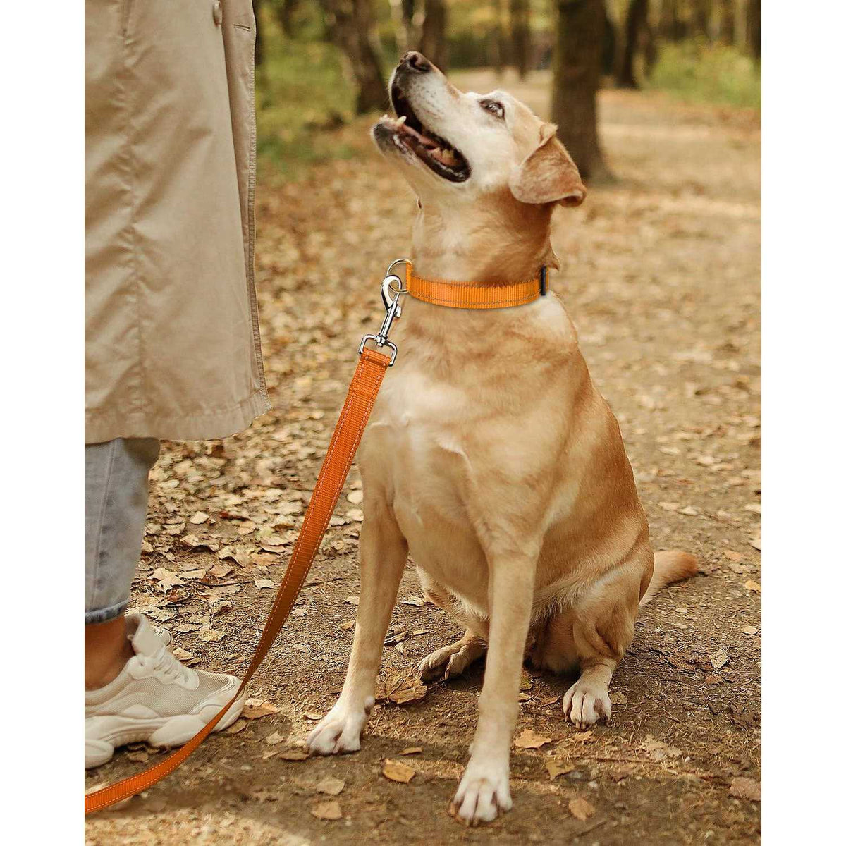Reflective Nylon Adjustable Dog Collar with Quick Release Buckle Q397199
