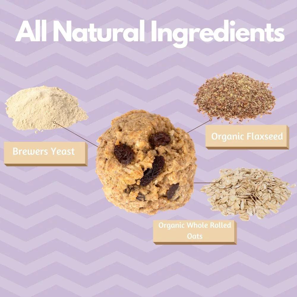 Oatmeal Raisin Soft Baked Lactation Cookie Mix 15oz W587760