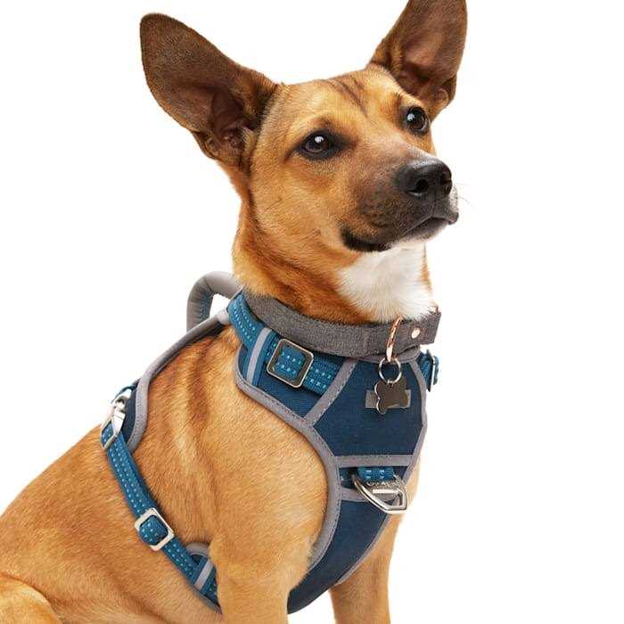 Navy Dog Harness A11274