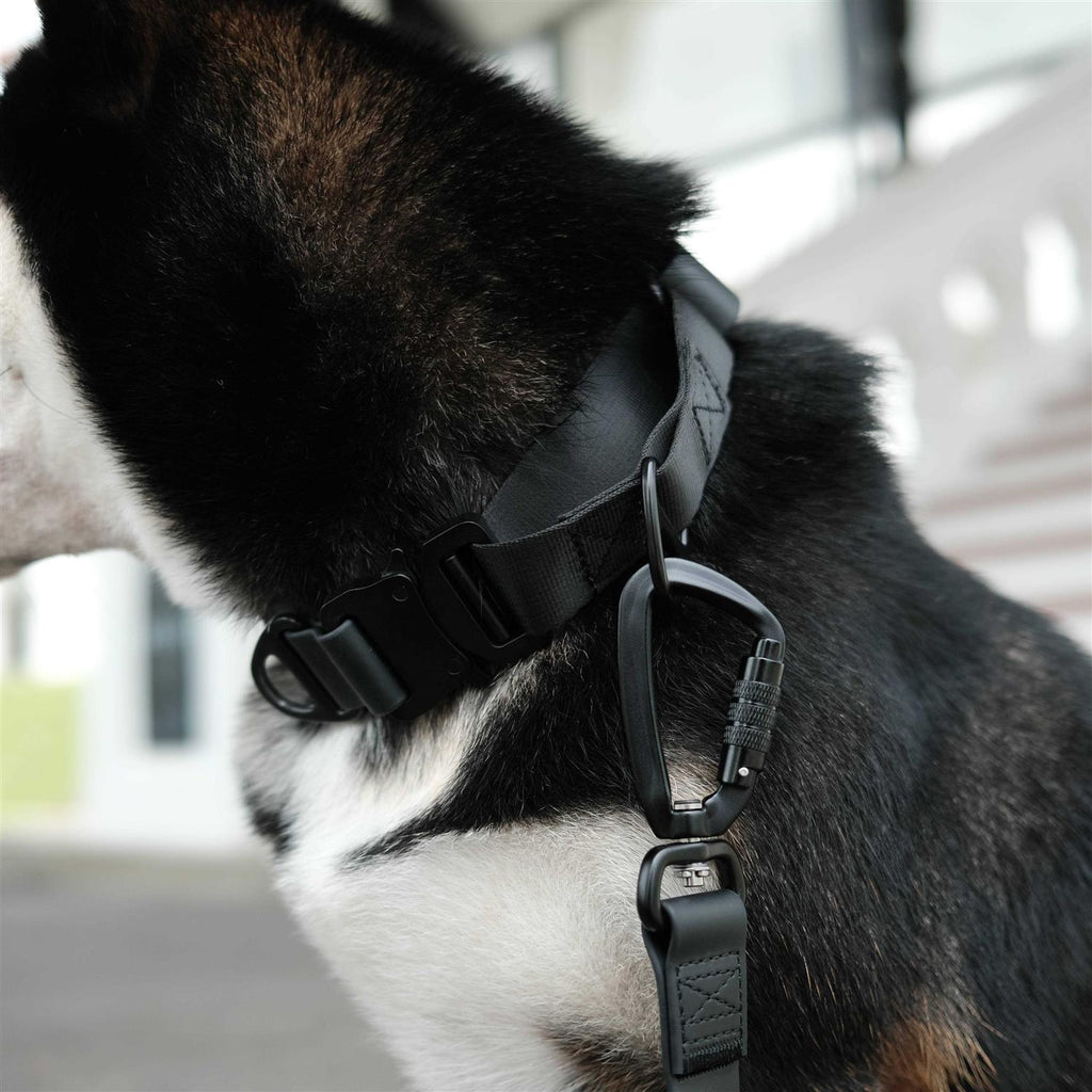 Waterproof Martingale Collar R2001