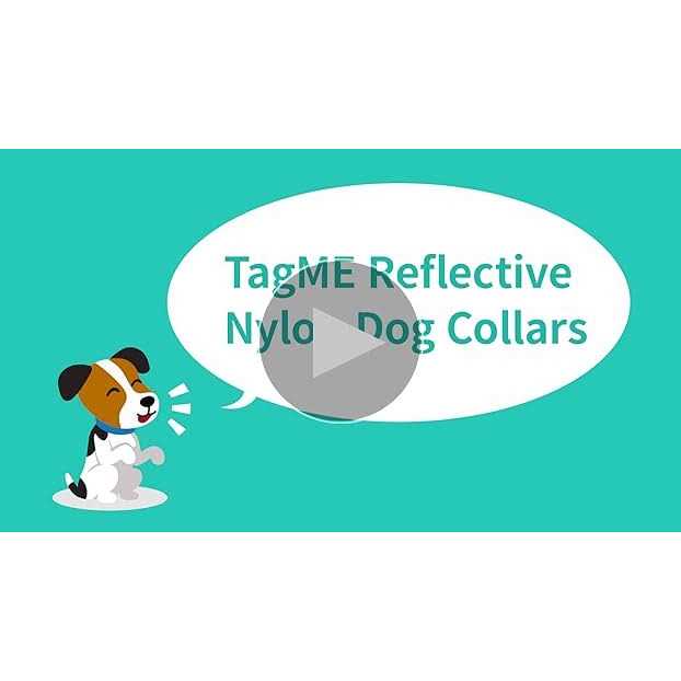 Reflective Nylon Adjustable Dog Collar with Quick Release Buckle N529055