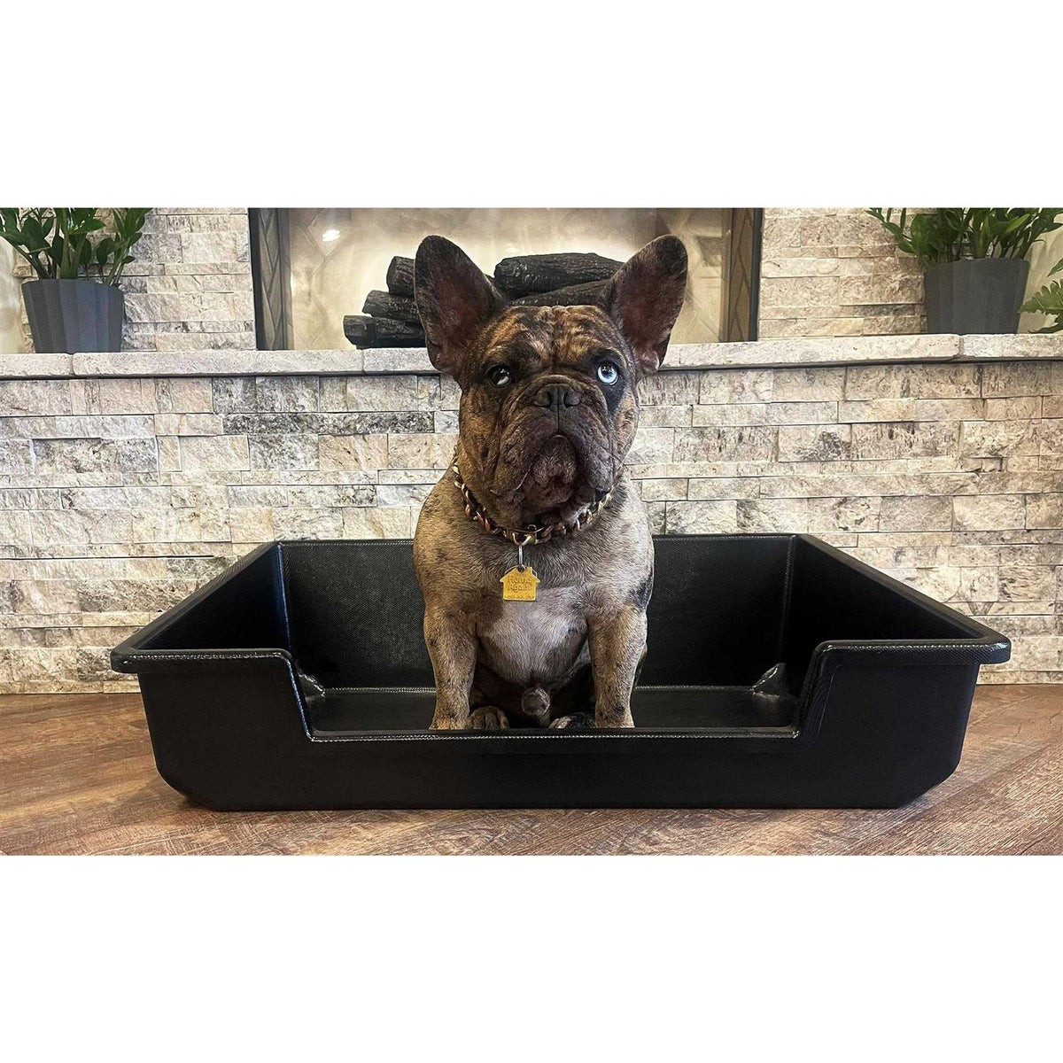 Extra Large Litter Box C751