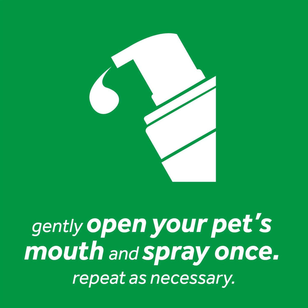 Fresh Breath Mint Foam L146441