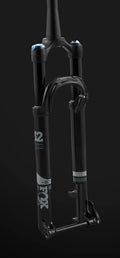 29 Suspension Fork X1014