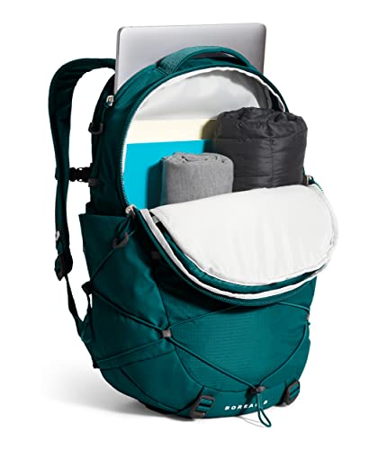 Laptop Backpack P900