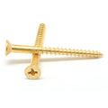 Brass Wood Screw Phillips Flat Head Pk 100 Y7085