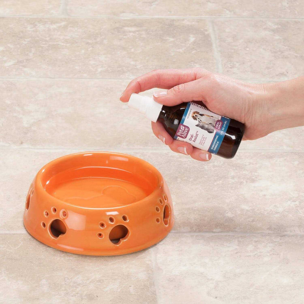 Oral-Assist Spray K8036