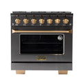 36 5.2 cu. ft. Dual Fuel Range Titanium Stainless Steel L356819
