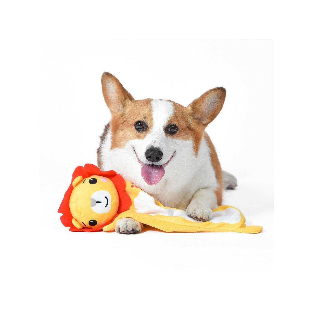 Dog Toy W332119