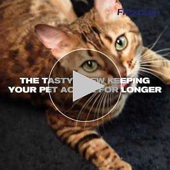 Cat Joint Supplement Chews with UC-II Y826406